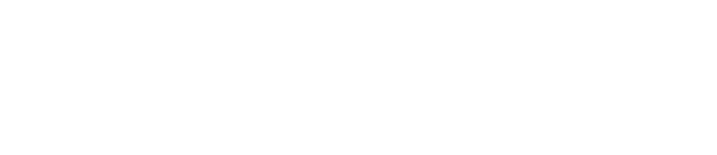 CHAINLAB white logo